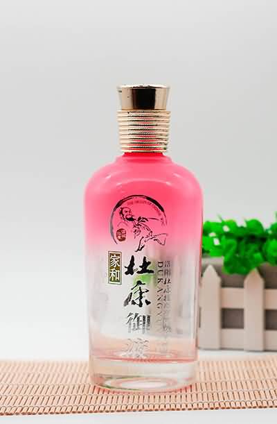 喷涂瓶-504  
